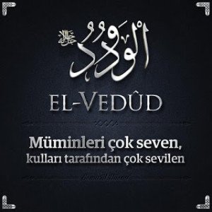 El_vedud_00111